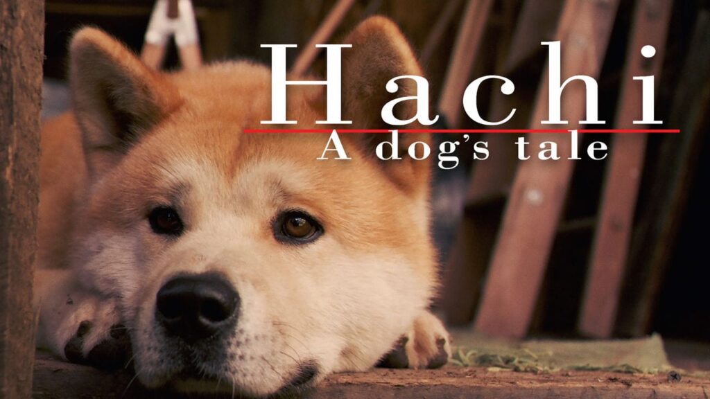 فيلم الكلب هاتشي Hachi: A Dog's Tale 2009