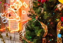 شجرة عيد الميلاد / ماهو تاريخ شجرة عيد الميلاد؟