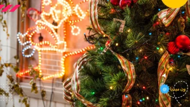 شجرة عيد الميلاد / ماهو تاريخ شجرة عيد الميلاد؟