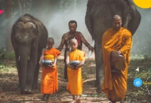البوذية | الديانة البوذية - ما هي البوذية
